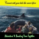 PowerQuiz™ Marine World Trivia Cards - Image 5