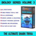 PowerQuiz™ Shark World Trivia Cards - Image 2